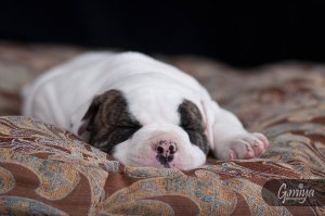 ...and as soon as I get this finished...