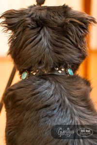 Native American Jewelry Big Bad Collars (4)