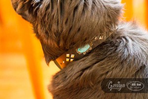 Native American Jewelry Big Bad Collars