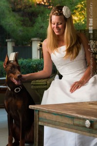 Wedding Dog Collars Big Bad Collars (4)