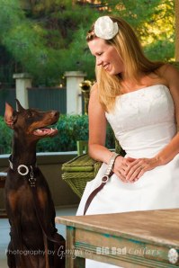Wedding Dog Collars Big Bad Collars (5)