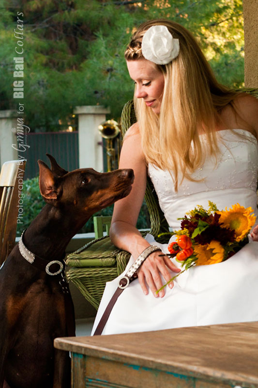 All brides need their best girlfriends on their wedding day!  Swarovski Crystal buckle with cobra skin.
