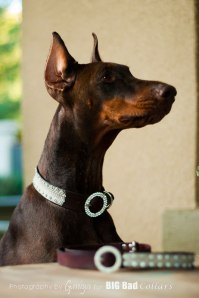 Wedding Dog Collars Big Bad Collars (9)